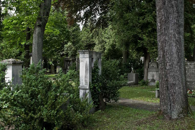 Старое южное кладбище