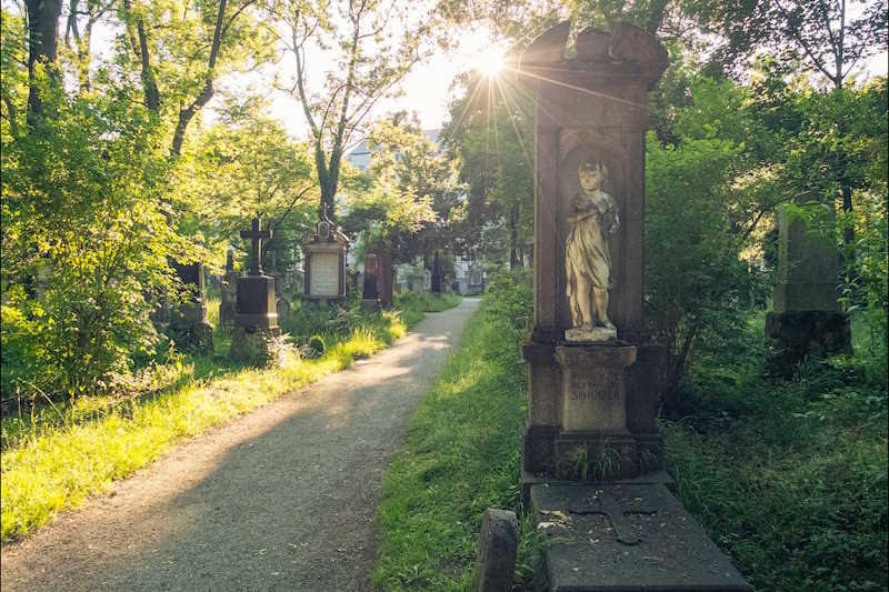 Старое южное кладбище